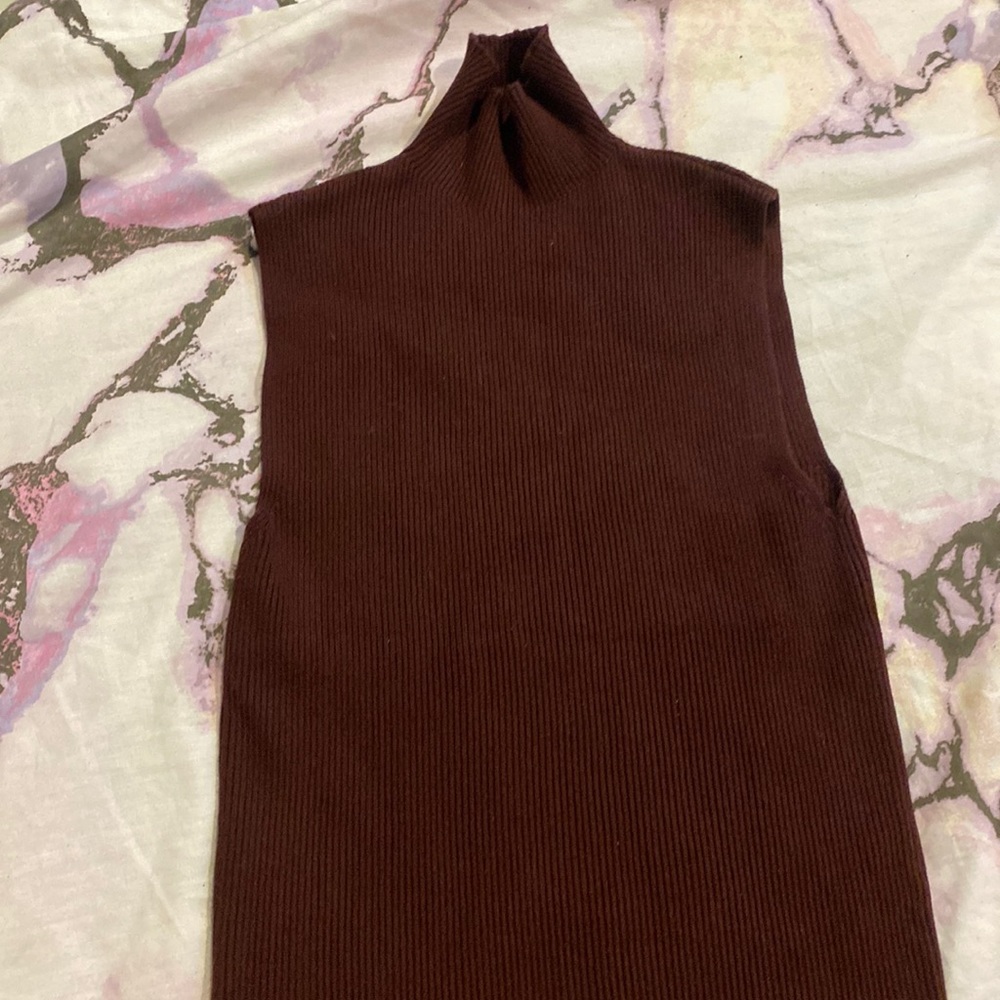 ZARA wine turtleneck top